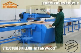 Structuri case din lemn